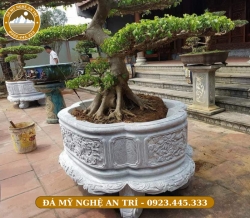 BỂ ĐÁ